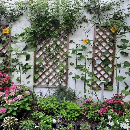 Wohnen Beim Uswatta Liyanage